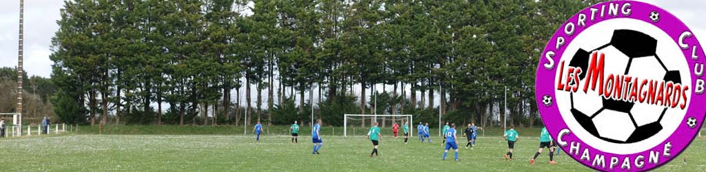 Stade Marot Texereau